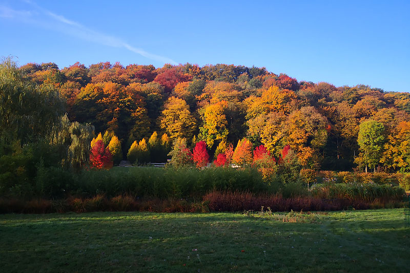 Waldpark Grünheide in Auerbach im Vogtland