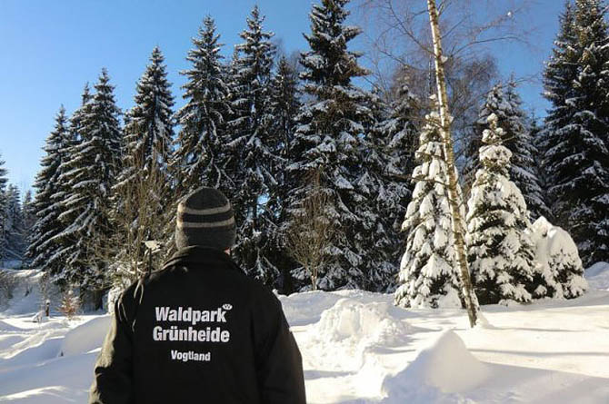 KiEZ Waldpark Grünheide in Auerbach im Vogtland