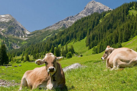 Leutkirch im Allgäu in Baden-Württemberg