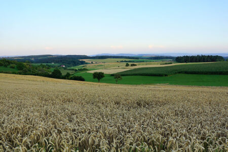 Bodensee in Baden-Württemberg