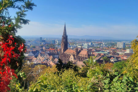 Freiburg im Breisgau im Schwarzwald Baden-Württemberg