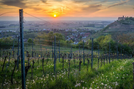 Freiburg im Breisgau im Schwarzwald Baden-Württemberg