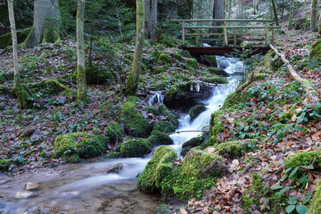 Schwarzwald in Baden-Württemberg