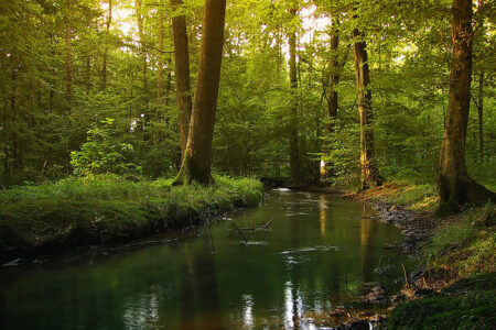 Schwarzwald in Baden-Württemberg