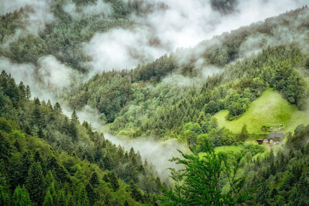 Schwarzwald in Baden-Württemberg