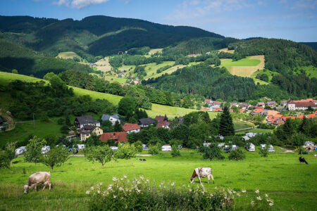 Schwarzwald in Baden-Württemberg