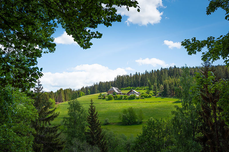 Schwarzwald in Baden-Württemberg