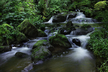 Bernau im Schwarzwald, Baden-Württemberg