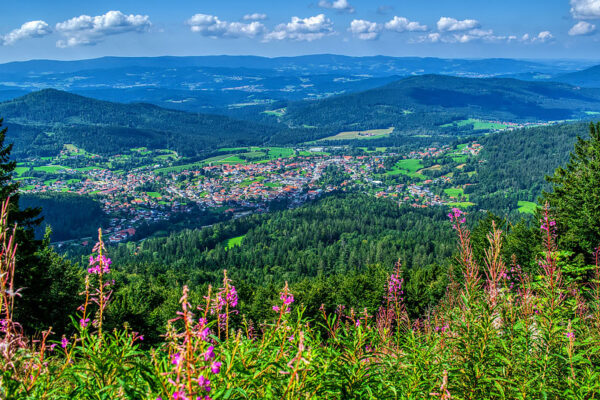 Neureichenau im Bayerischen Wald