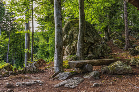 Neureichenau im Bayerischen Wald