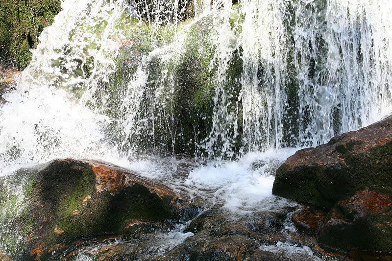 Neureichenau im Bayerischen Wald