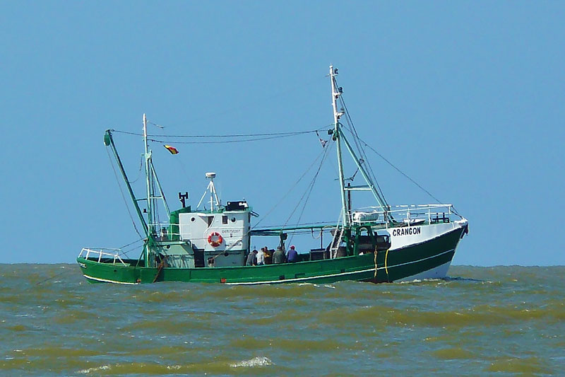 Belgische Nordseeküste in Flandern