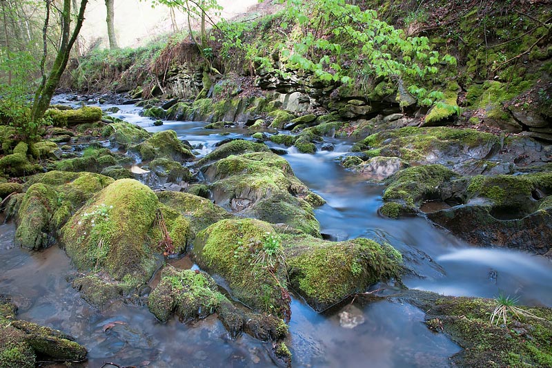 Eifel in Rheinland-Pfalz