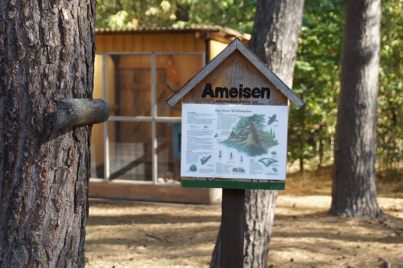 Ferienpark Hohenspringe in Brandenburg