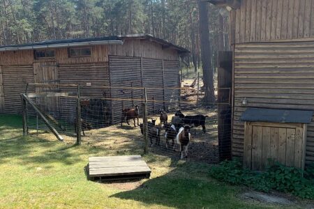 Ferienpark Hohenspringe in Brandenburg