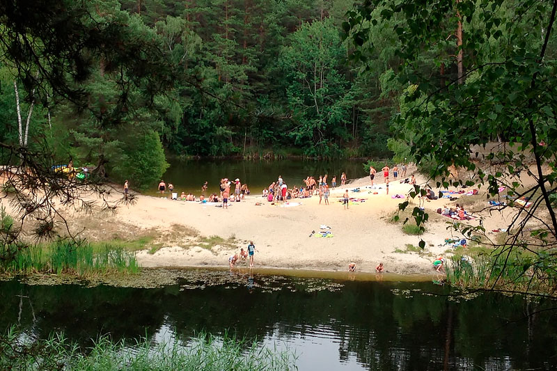 Friedrichsee in der Dübener Heide