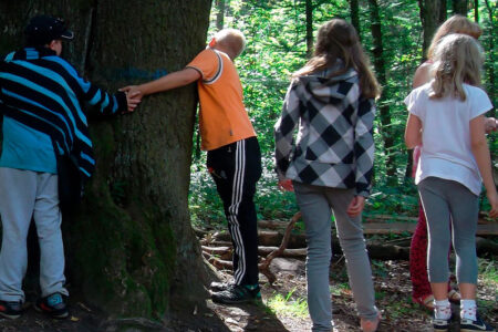 Friedrichsee in der Dübener Heide