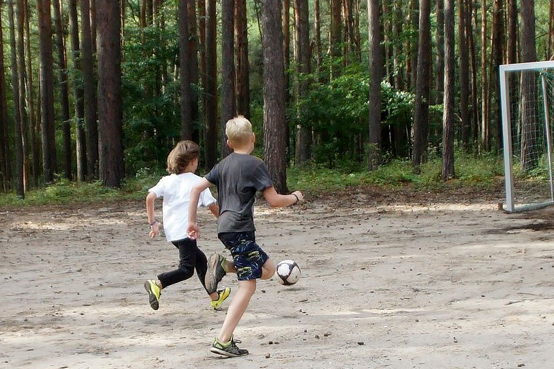 Friedrichsee in der Dübener Heide