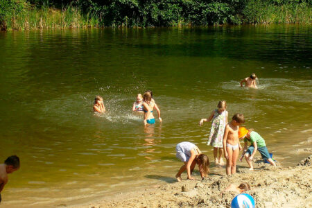 Friedrichsee in der Dübener Heide