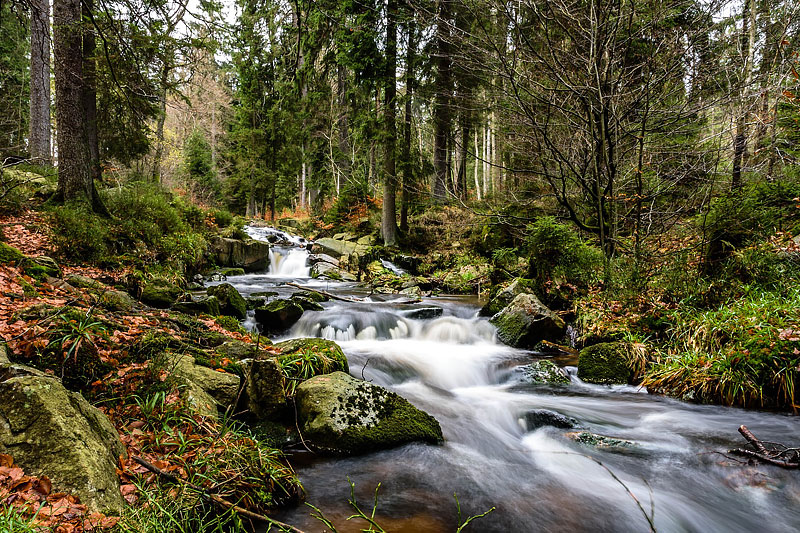 Harz