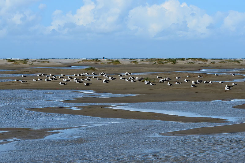 Insel Borkum in der Nordsee