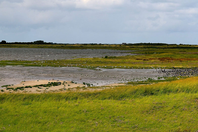 Insel Borkum in der Nordsee