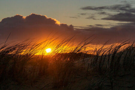 Insel Norderney in der Nordsee