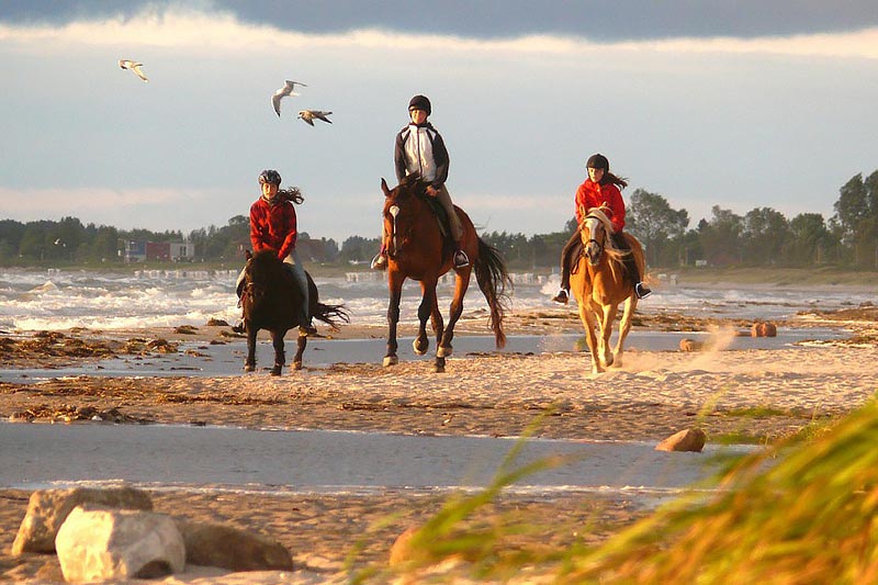 Feriendorf Golsmaas in Kronsgaard