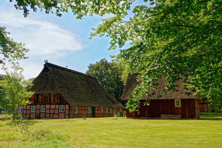 Lüneburger Heide in Niedersachsen