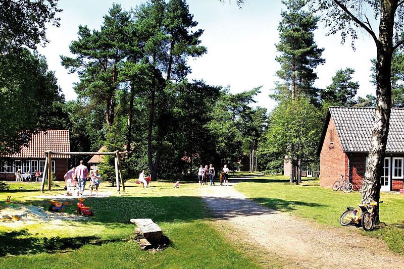 Lüneburger Heide in Niedersachsen