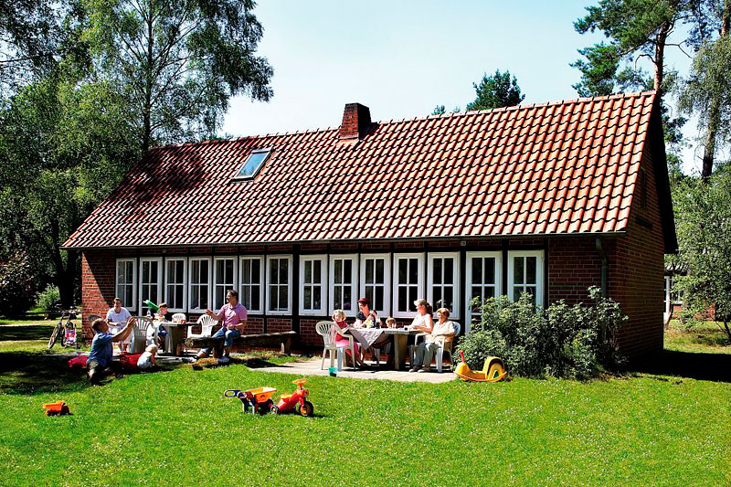 Lüneburger Heide in Niedersachsen