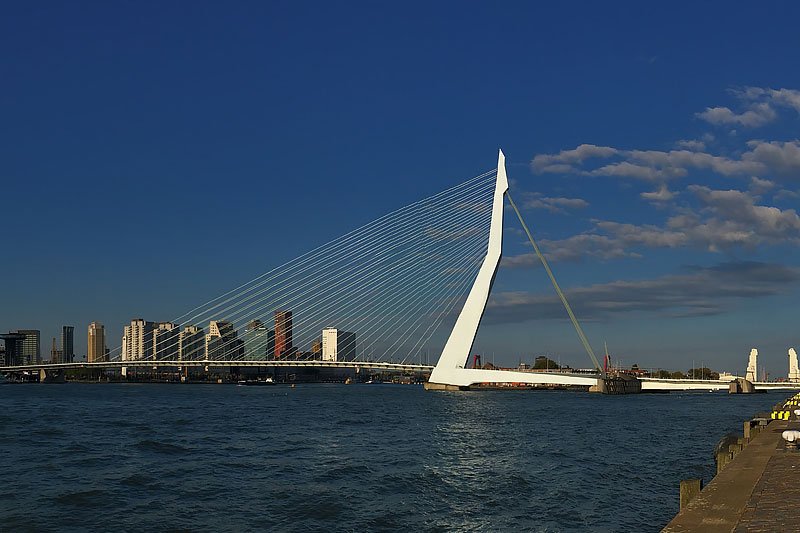 Rotterdam in den Niederlanden