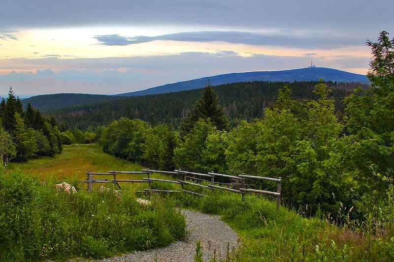 Harz