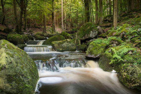 Harz