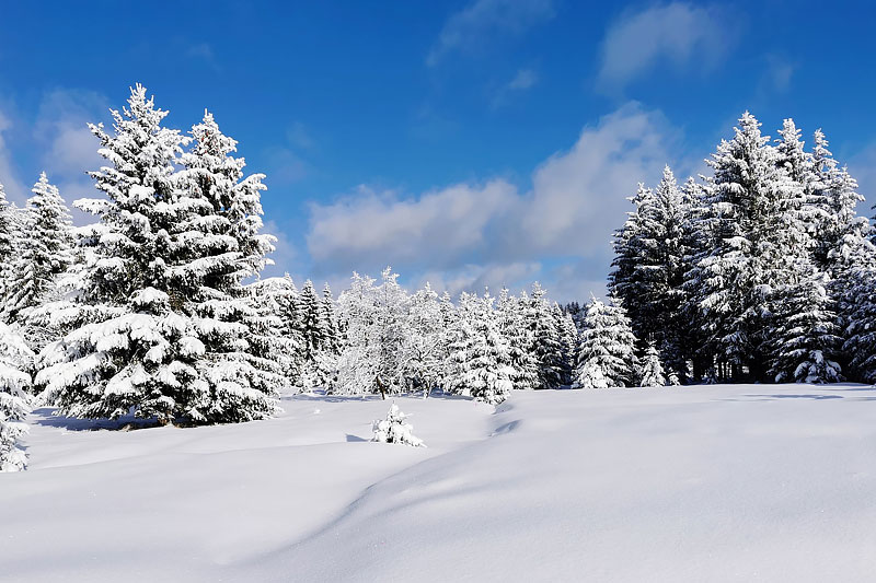 Erzgebirge in Sachsen