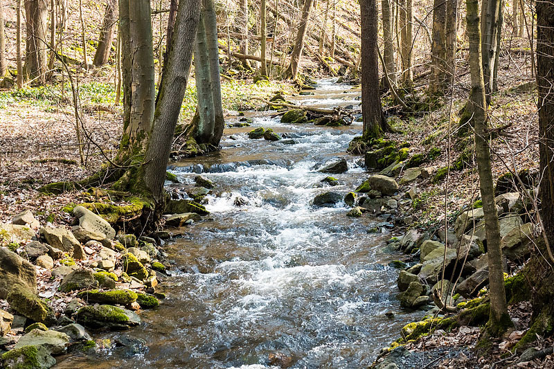 Erzgebirge in Sachsen