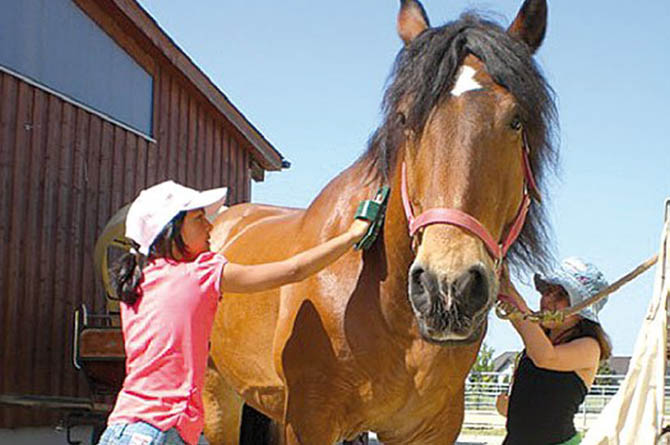 Reinert Ranch in Trebendorf