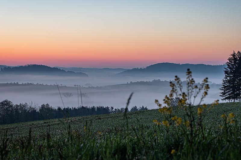 Föckinghausen im Sauerland