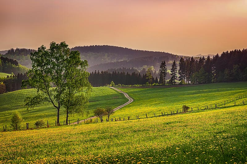 Föckinghausen im Sauerland