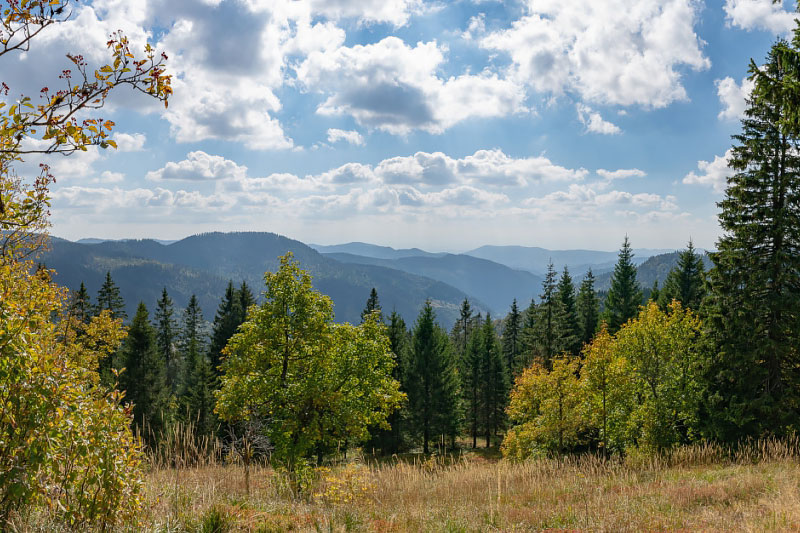 Feriendorf Todtnau im Schwarzwald in Baden-Württemberg