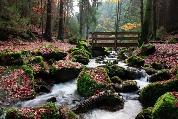 Teutoburger Wald in Nordrhein-Westfalen