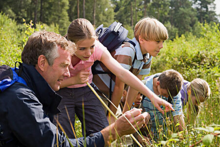 Ferienanlage Reinsberger Dorf im Thüringer Wald