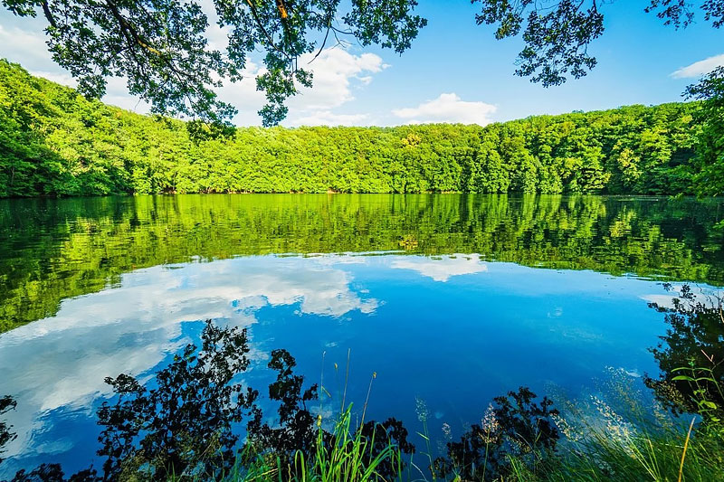 Dermbach in der Rhön