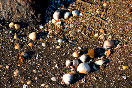 Wangerland an der Nordseeküste in Niedersachsen