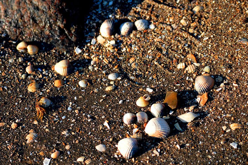 Wangerland an der Nordseeküste in Niedersachsen